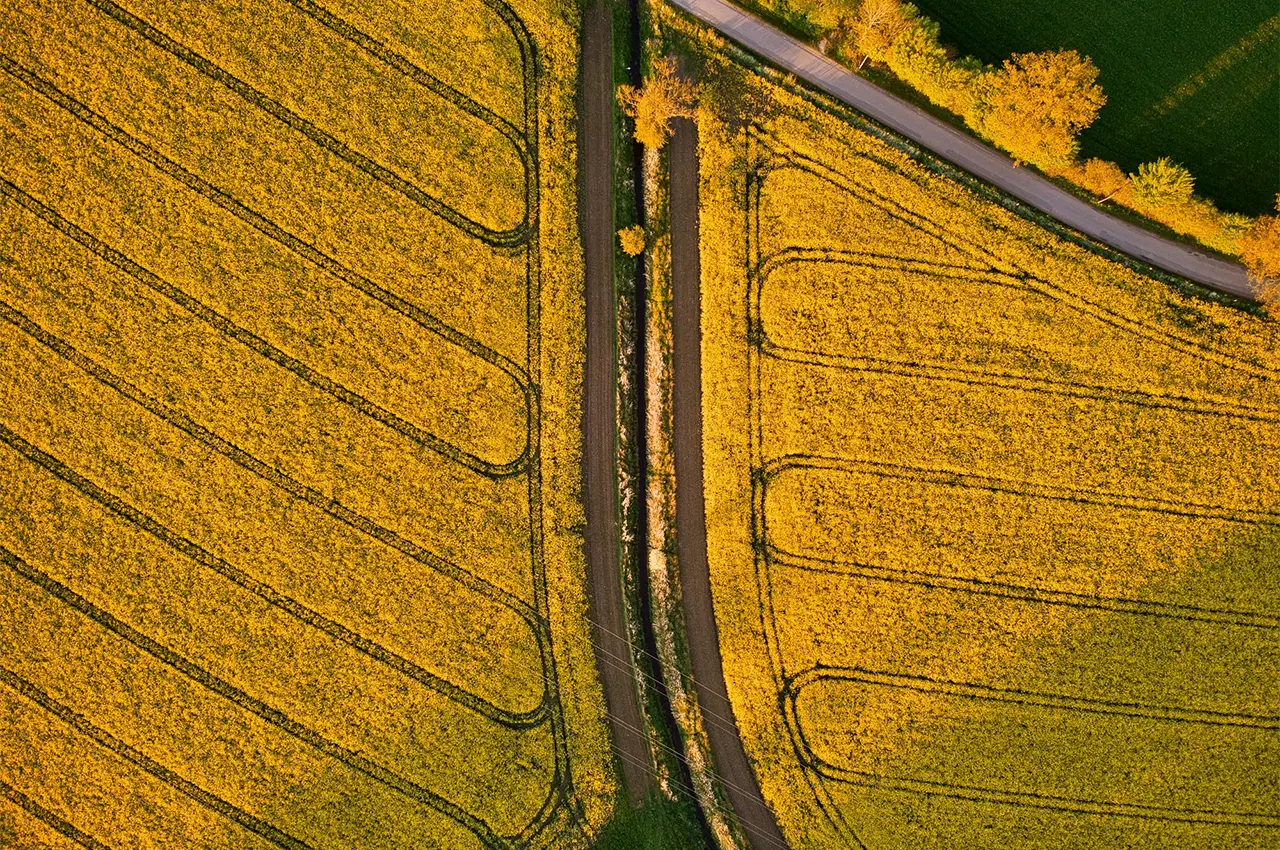 large field with a road through the middle